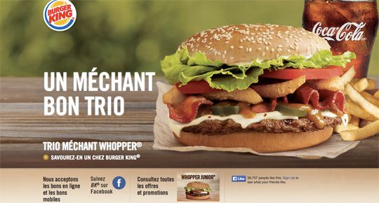 Consultant seo Paris - Consultant Paris seo