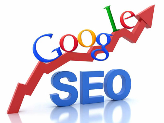 Analyse web rapport Seo web-marketing Rapport optimisation google, panda, penguin et humingbird France