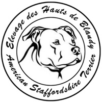 Entreprise de publicité Paris. Trouver l'agence de pub parfaite. Entreprise de publicité Web Corporate réponds par son savoir-faire, avec la réalisation publicitaire haut gamme de vos campagnes publicitaire, à la question de comment faire une bonne publicité d'entreprise ? Webcorporate entreprise de publicité Nice, nous gérons vos opérations marketing selon votre entreprise et vos besoins de pub. Ne perdez plus de temps, contactez Webcorporate agence de pub digitale. Entreprise de publicité Monaco. 